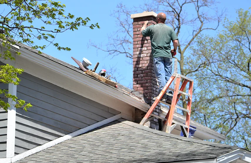 Chimney & Fireplace Inspections Services in Bensenville, IL